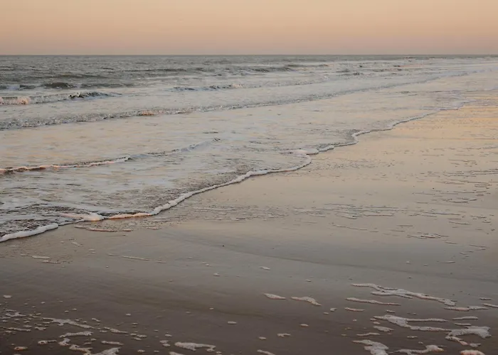 Portwin Luxury Daire *